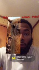 Preview for a Spotlight video that uses the MY TWIN ANIMAL Lens