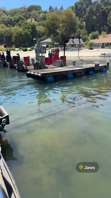 @kaylami23 님의 Jaws 스포트라이트