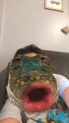 Preview for a Spotlight video that uses the Alligator Lens