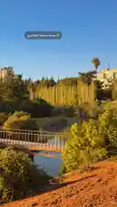 Video by @oor.68 with original sound