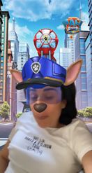 Preview for a Spotlight video that uses the Paw Patrol Lens