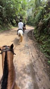 Abbyy.irl (@abbyy.irl) | Snapchat Stories, Spotlight & Lenses