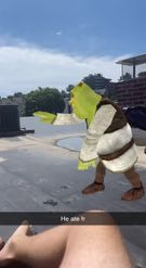 Preview for a Spotlight video that uses the Shrek HipHop Dance Lens