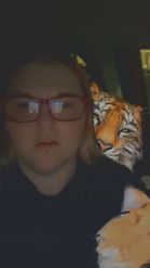 Preview for a Spotlight video that uses the Tiger Friend Lens