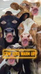 Preview for a Spotlight video that uses the Funny Cows Lens