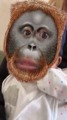 Preview for a Spotlight video that uses the Monkey mask Lens
