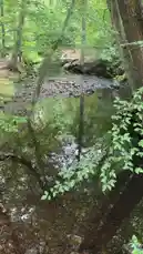 Selene Castle (@selene_castle) | Snapchat Stories, Spotlight & Lenses