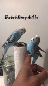 Turners’ Sanctuary (@turnersanctuary) | Snapchat Stories, Spotlight