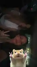 Video by @victoriajustice with original sound