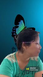 Preview for a Spotlight video that uses the Butterfly Name Lens