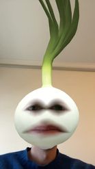 Preview for a Spotlight video that uses the Green Onions Onion Lens