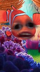 Preview for a Spotlight video that uses the Nemo Face Lens