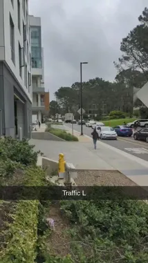 Video by @sheeptester with original sound