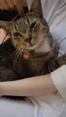 my baby ;3 by @clown.aholic with original sound