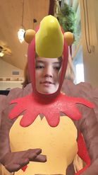 Preview for a Spotlight video that uses the Turkey Costumes Lens