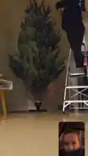 Christmas tree be like, del 2🎅 by @zagvik with original sound