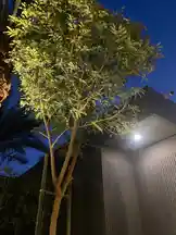 Video by @wn2.9 with original sound