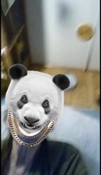 Preview for a Spotlight video that uses the -Panda Gangster- Lens