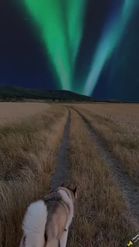 Preview for a Spotlight video that uses the Northern Lights Lens
