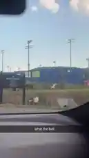 katie sigmond (@katie_sigmond) | Snapchat Stories, Spotlight & Lenses