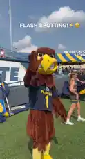 Flash Spotting! by @kentstateu with original sound