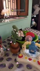 Preview for a Spotlight video that uses the Baby Cactus Lens