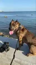 badxlucy (@badxlucy) | Snapchat Stories, Spotlight & Lenses