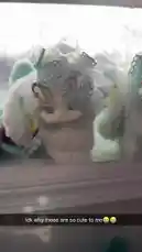 𝑨𝒖𝒕𝒖𝒎𝒏 𝑯𝒊𝒄𝒌𝒔💗🍃 (@a_hicks3474) | Snapchat Stories, Spotlight & Lenses