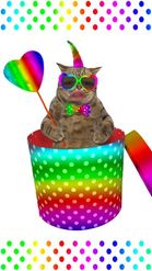 Preview for a Spotlight video that uses the Rainbow Cat Lens