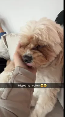 Catlin Hill（@catlin.hill） | Snapchatストーリー、スポットライト、レンズ