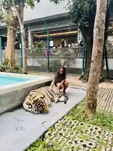 Chandu Charms 💜 (@chandu_charms99) | Snapchat Stories, Spotlight & Lenses