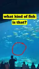 Mikayla Saravia (@mikayla.saravia) | Snapchat Stories, Spotlight & Lenses