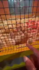 Video by @mbhspaige55 with mbhspaige55 by Original Sound