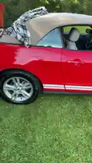 Lorelei Finds (@lorelei.finds) Snapchat Stories, Spotlight & Lenses