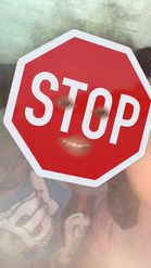 Preview for a Spotlight video that uses the Stop Sign Face Lens