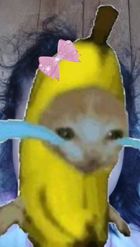 Preview for a Spotlight video that uses the Crying banana cat Lens