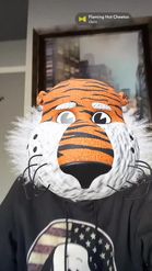Preview for a Spotlight video that uses the Aubie the Tiger Lens