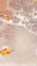 Video by @sh-eila2026 with original sound