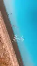 The beach by @amohammad_97 with original sound