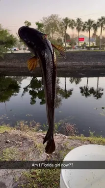 Nadia Jay (@heynaudia) | Snapchat Stories, Spotlight & Lenses