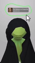 Preview for a Spotlight video that uses the Evil Kermit Lens