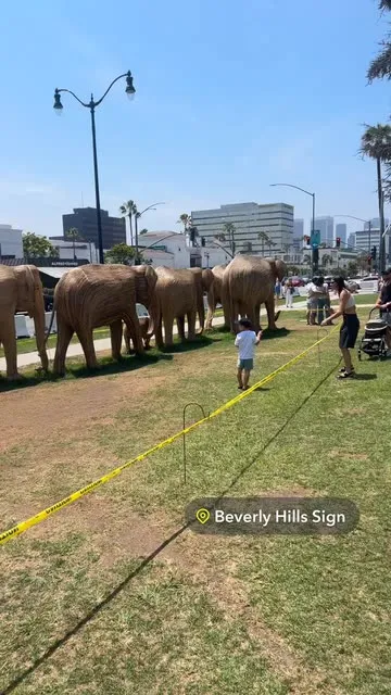 @bigolniggashit7 님의 Beverly Hills Sign 스포트라이트