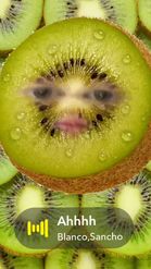 Preview for a Spotlight video that uses the kiwi fruit Lens