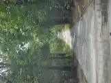 Nature and things by @thatmomlifeof2 with original sound