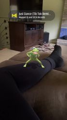 Preview for a Spotlight video that uses the Kermit Twerk Lens