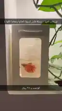 Video by @home_garden3 with original sound