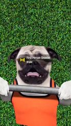 Preview for a Spotlight video that uses the Gym Pug Lens