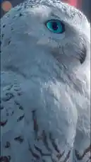 Video by @reefdevelopment with original sound