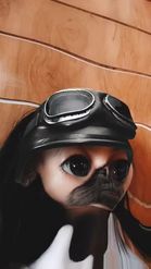 Preview for a Spotlight video that uses the Biker Pug Lens