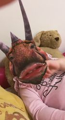 Preview for a Spotlight video that uses the Triceratops Lens